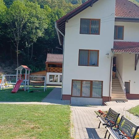 Pensiunea Casa David Şugag 外观 照片
