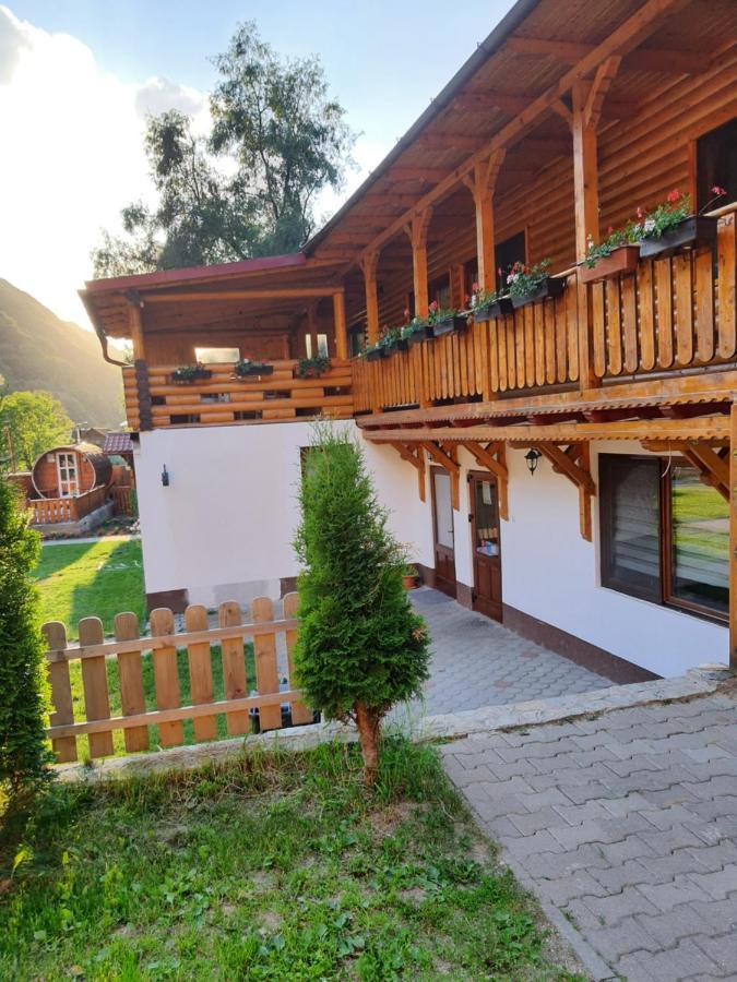 Pensiunea Casa David Şugag 外观 照片