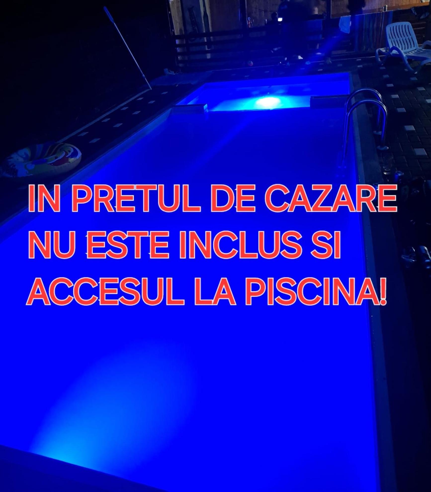 Pensiunea Casa David Şugag 外观 照片