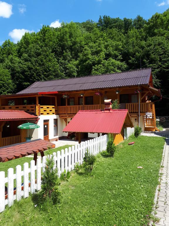 Pensiunea Casa David Şugag 外观 照片