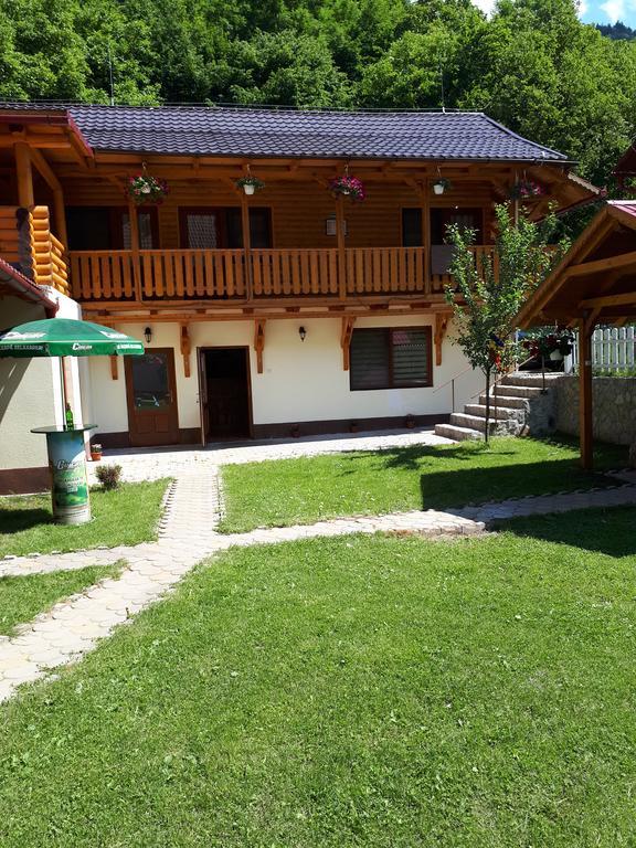 Pensiunea Casa David Şugag 外观 照片