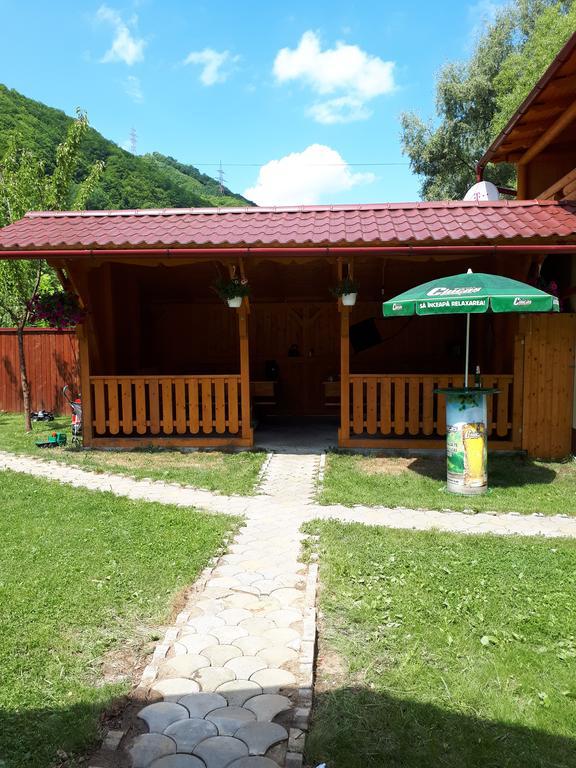 Pensiunea Casa David Şugag 外观 照片