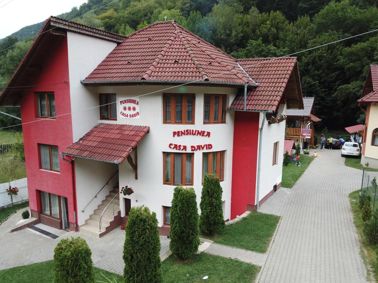 Pensiunea Casa David Şugag 外观 照片